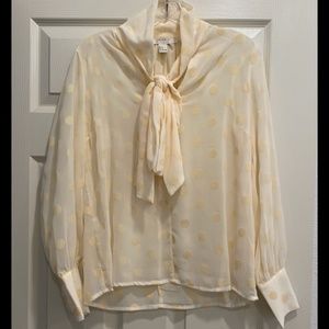 Sheer polka dot blouse